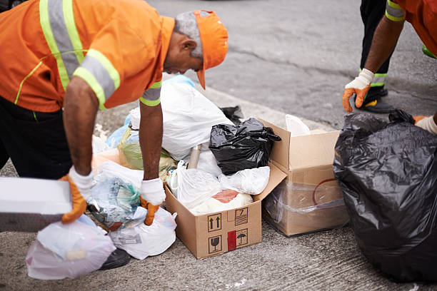 Best Recycling Services for Junk  in Treasure Island, FL